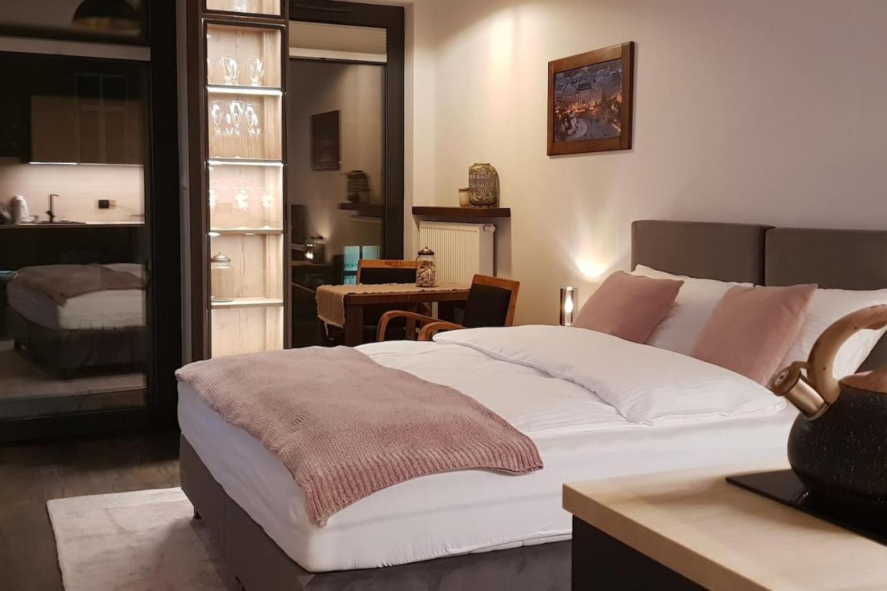 Boutique 108 - Old City, Luxury Apt. With A Garage 克拉科夫 外观 照片